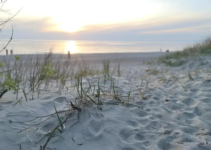 La Apartamentai Su Baseinu Ir Terasa * Palanga